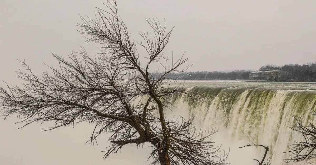 Forty Lunches, No Onion or Garlic: A Delhi Tour Operator Books Niagara Falls in Hindi
