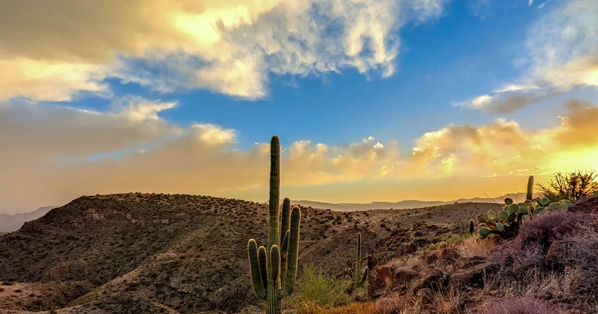 July in Phoenix, the AC Is Dead, the Owner Is in Hermosillo: An HVAC Call in Spanish