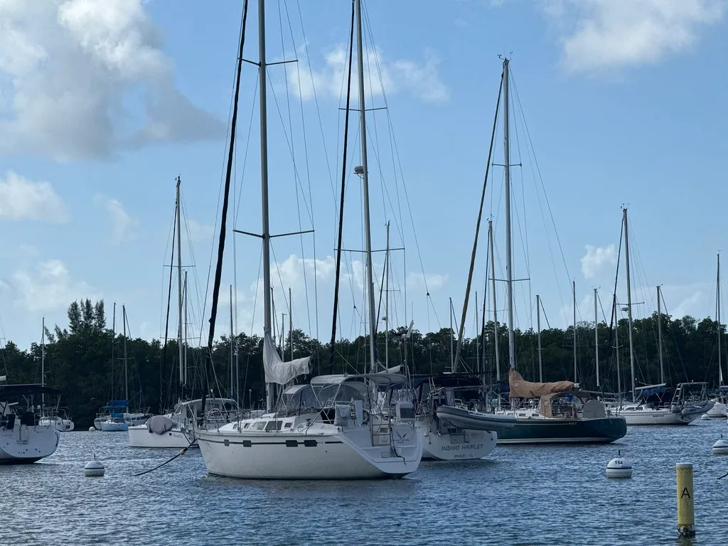 Sailboats moored on calm water in Coconut Grove under a blue sky