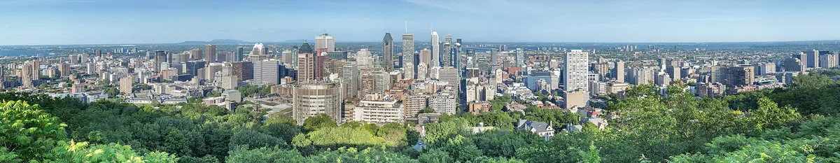 Downtown Montréal towers rising above green trees seen from Mount Royal on a clear day