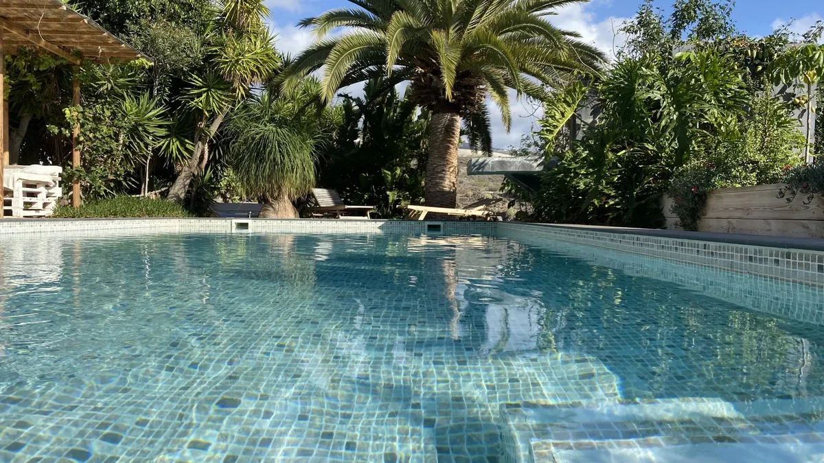 A backyard swimming pool with blue mosaic tiles surrounded by palms and tropical plants