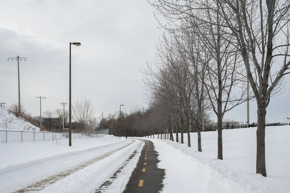 A snow-covered campus street lined with bare trees and lamp posts in Québec City