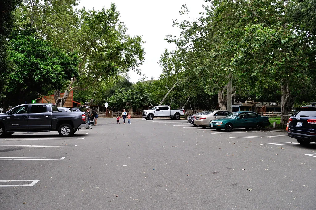 A wide parking lot with parked cars and pickup trucks beneath tall trees