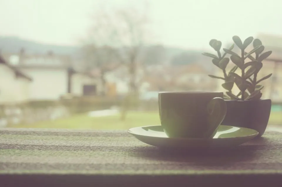 A coffee cup on a saucer and a small potted plant on a windowsill with a blurred town outside